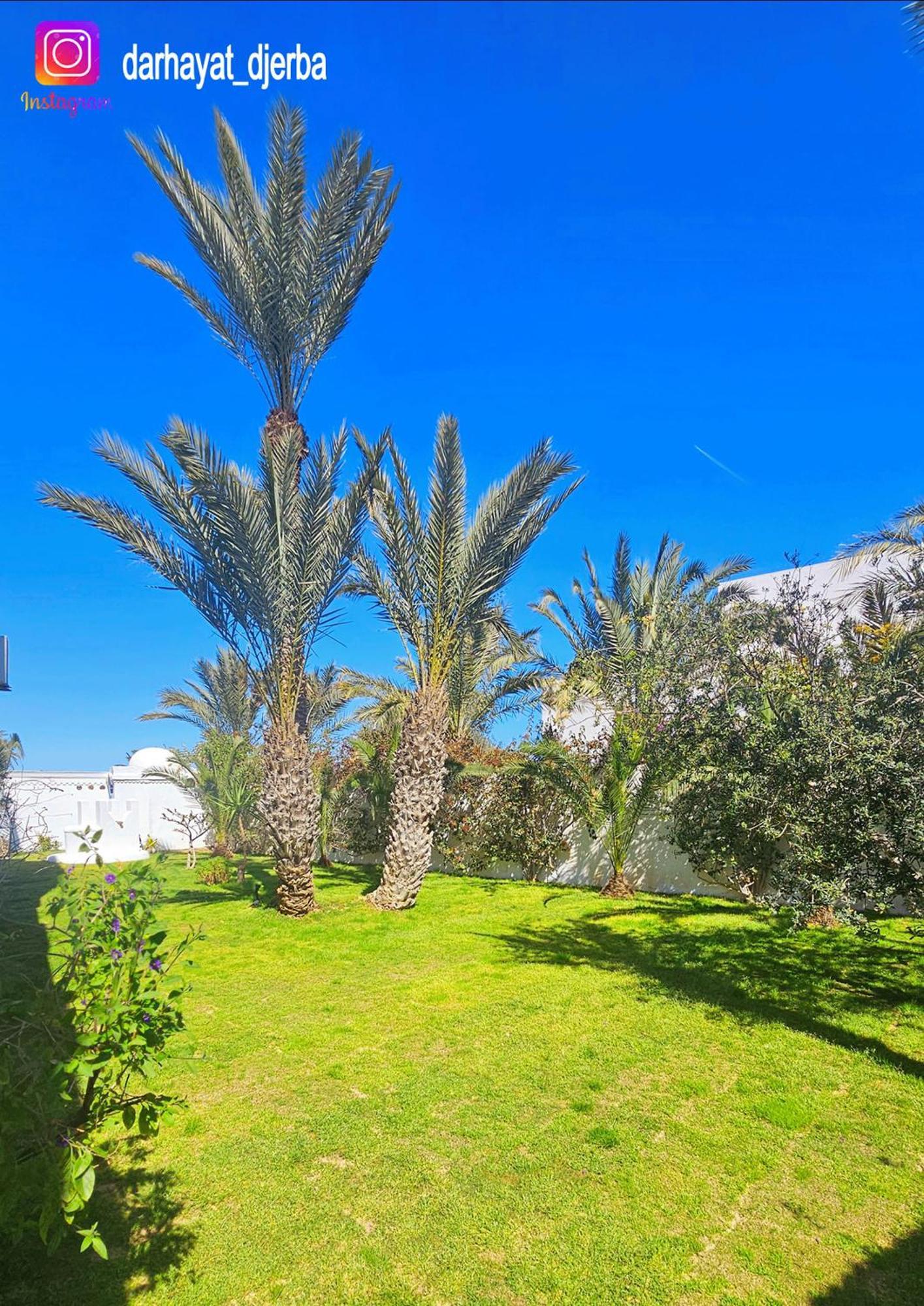 Villa Dar Hayat à Triffa Extérieur photo